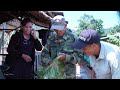 Concrete Stove 100% Done: Aunt Tam’s Delicious Pickled Mustard Greens Recipe | Sung A Pao