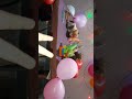 the birthday of my pets part 1