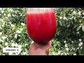 Sobolo Mango Mocktail | Mango-flavoured Sobolo Drink |Zobo Mango Chapman |African Drink Recipe Twist