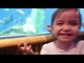 BABY SHARK TURTLE AND OTHER SEA ANIMALS WITH NAIRA AT AQUARIA KLCC