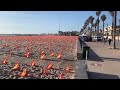 53.000 banderas recuerdan en una playa de Valencia a los fallecidos por #coronavirus