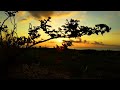 baground video angin senja no copyright