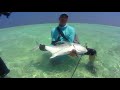 Giant Trevally - GT-  tropical saltwater fly-fishing, 2018