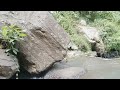 SOUND Nature river  relax and relieve stress #indah#nature#alamindah #jember#fypシ#rilex#relaxation