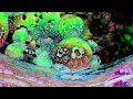 An Interdimensional Journey - Psychedelic Fractal Visuals for Deeper Understanding - [New 2022]