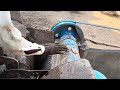 Amazing Quarry Primary Rock Crushing Machine Working | Satisfying Rock Crusher | Stone Crushing