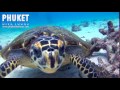 Scuba Diving Phuket at Thailand best Dive Sites ..Go Pro 3