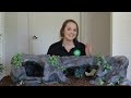 How To Build Rock Features For Your Reptile Enclosure: A step-by-step guide!