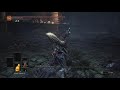 Ringed Knight Greatswords VS Abyss Watchers