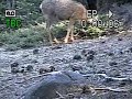 Half Dome Cable Rescue 06/22/2012