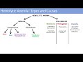 Hemolytic Anemia