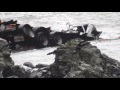 Amazing Helicopter Rescue in New Zealand