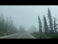 Driving through the fog to Mt. Rainier National Park