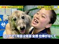 批判も多い日本唯一の「犬のサーカス」…現場の声を聞けばあなたの考えも変わります
