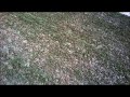 drone test flight