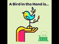 Z Plus 72 || A Bird in the Hand is Worth Two in the Bush
