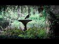 Enchanted English Garden Ambience 🐱🍎☕🌼   Relaxing Spring Afternoon Sounds + Water Fountain