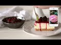 Berry Cheesecake Recipe | No Bake Cheesecake Recipe