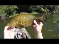 Double Down Ploppin' Smallies!