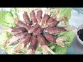 Thịt bò cuộn nấm kim châm (món bò nướng ngon)