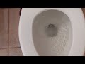 Double flush toilet