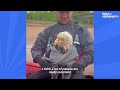 Guy Saves Bald Eagle From Drowning In River | The Dodo Faith = Restored