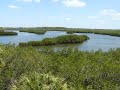 Upper Tampa Nature Park, 4-26-09