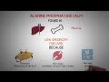 Liver Function Tests (LFTs) |  liver function test interpretation | Animation | Multi-Languages |