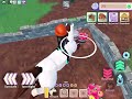 Playing horse life Roblox(hope you like it)