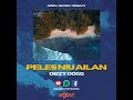 Peles Niu Ailan - Dizzy Dogg[Jem Boy Music 2024]