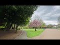 🚶‍♀️oh spring you make my heart sing 🌸🌹🌺🌷🌼🌿 walk with me Ropner Park Stockton England UK