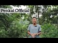 Penkai Man Vlog youtube Terminated  | Why and How | @Penkaiofficial