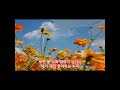 누이 / 색소폰연주 #색소폰농부 (테너) 커버 #설운도 (원곡)