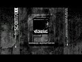 Scantraxx 040 - The Masochist - LDMF (Wildstylez RMX) (HQ)