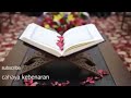 Quran Beautiful Recitation   Relaxing and stress relief