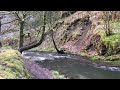 Nature Trail - Chee Dale, Peak District National Park, England