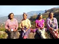 KÜNÜLE (Phek Village  Peer Group) Phek Nagaland