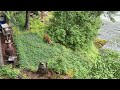 A brave deer swims across the flooded river | Washougal Washington