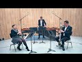 Zapping TRIO - Eric Sammut  - Marimba, clarinet, Bass clarinet