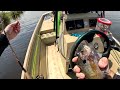 Bluegill BEATDOWN on Harney Pond (PART 2)