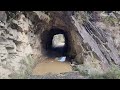 Boyd River camping near Dalmorton NSW