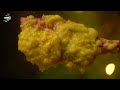 Sunday Samayal மட்டன் வறுவல் & கிள்ளிப்போட்ட சாம்பார் | CDK 1699 | Chef Deena's Kitchen