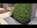 Mulch for your landscape