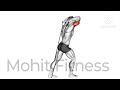 13 Best Arms Workout l Mohit Fitness