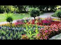 Sommer garden in city park in #Weiden #Germany.  June 2022.   #sommergarden