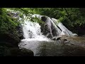 가슴까지 시원한 폭포수, 우거진 나무 숲, 무상삼매(無想三昧), Refreshing waterfall to the chest, Lush forest of trees, ASMR