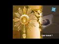 Vidéo Bx Carlo Acutis pour exposition, Cathédrale de Luçon