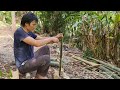 A journey of survival (part 1). Raising livestock, and growing crops. Robert | Green forest life