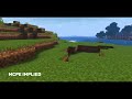 Spectrum Shader For Minecraft Pe