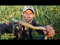 MANCING BELUT MONSTER DILUBANG AIR, Umpan BELUT BABON Paling Jitu